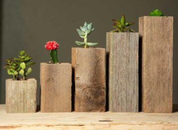 Succulent Planter Box Set Made from Reclaimed Wood - Perfect for Real or Faux Succulent Plants