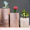 Succulent Planter Box Set Made from Reclaimed Wood - Perfect for Real or Faux Succulent Plants