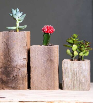 Succulent Planter Box Set Made from Reclaimed Wood - Perfect for Real or Faux Succulent Plants