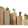 Succulent Planter Box Set Made from Reclaimed Wood - Perfect for Real or Faux Succulent Plants