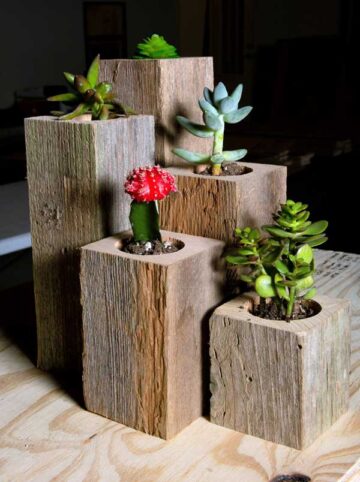 Succulent Planter Box Set Made from Reclaimed Wood - Perfect for Real or Faux Succulent Plants