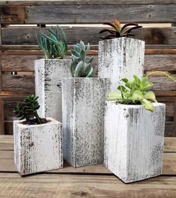 Whitewash Succulent Planter Box Set Made from Reclaimed Wood - Perfect for Real or Faux Succulent Plant