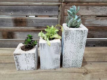 Whitewash Succulent Planter Box Set Made from Reclaimed Wood - Perfect for Real or Faux Succulent Plant