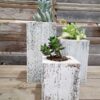 Whitewash Succulent Planter Box Set Made from Reclaimed Wood - Perfect for Real or Faux Succulent Plant