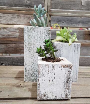 Whitewash Succulent Planter Box Set Made from Reclaimed Wood - Perfect for Real or Faux Succulent Plant