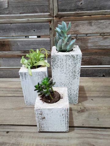 Whitewash Succulent Planter Box Set Made from Reclaimed Wood - Perfect for Real or Faux Succulent Plant