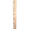 Growth Chart for Kids Natural