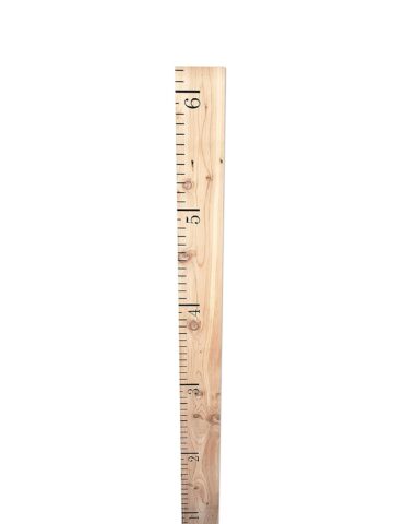 Growth Chart for Kids Natural