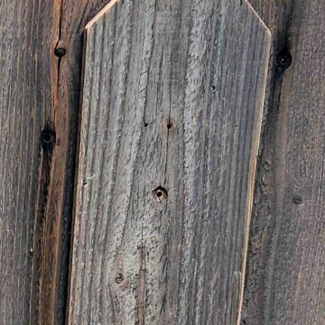 Pumpkin Porch Sign-texture