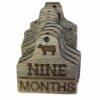 Baby Month Milestones Cattle Tag Designs (Engraved)-1