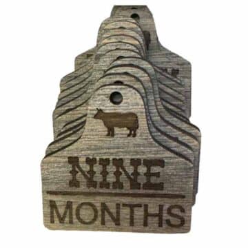 Baby Month Milestones Cattle Tag Designs (Engraved)