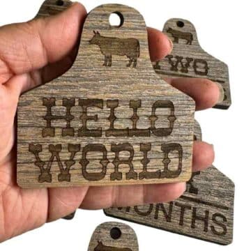 Baby Month Milestones Cattle Tag Designs (Engraved)