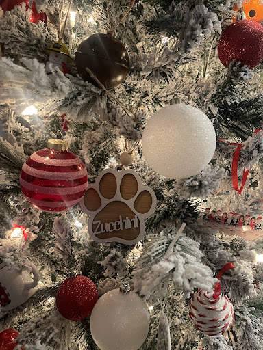 Photo from customer review