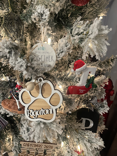 Photo from customer review